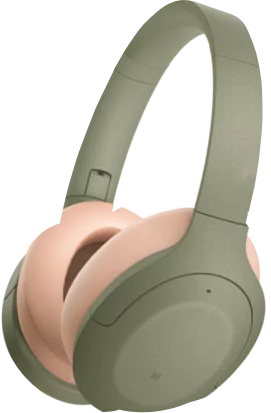 Wireless Headphones